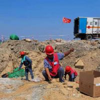 <img src=upfile/images/2025/08/12/small3_17549655402590787.JPG height=300>